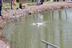 Angelshow_2013_108