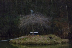 Arbeitseinsatz_2011_14
