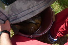 BrowningCup_2014_115