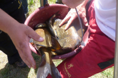 BrowningCup_2014_116