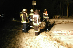 Eisrettung_2012_22