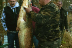 Giganten_2011_05
