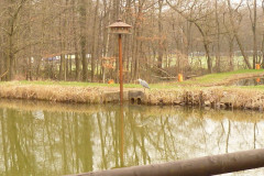 Giganten_2011_06