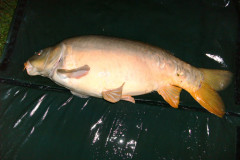 Giganten_2011_11