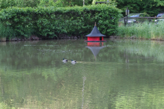 Jugendkoenigsfischen_2014_22