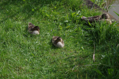 Jugendkoenigsfischen_2014_25