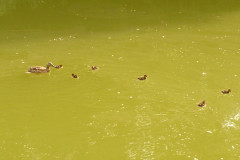 Koenigsfischen_Jugend_2012_12