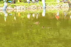 Koenigsfischen_Jugend_2012_24