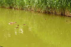 Koenigsfischen_Jugend_2012_28