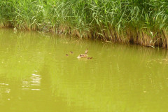 Koenigsfischen_Jugend_2012_29