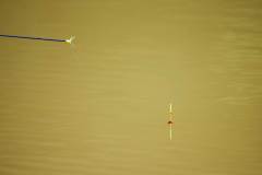 Koenigsfischen_20150607_10