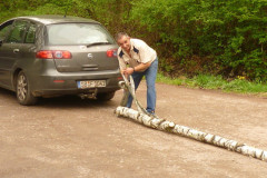 Maibaum_20120403_01