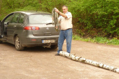 Maibaum_20120403_02