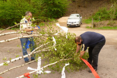 Maibaum_20120403_09