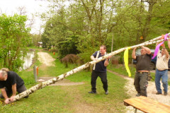 Maibaum_20120403_31