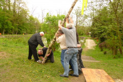 Maibaum_20120403_34