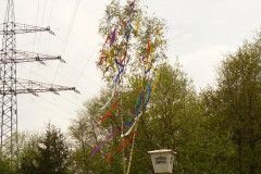 Maibaum_20120403_40