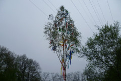 Maibaum_2013_06