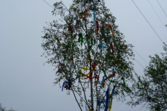 Maibaum_2013_07