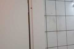 Renovierung_Toilette_202202_08
