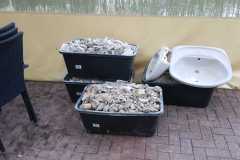 Renovierung_Toilette_202202_12