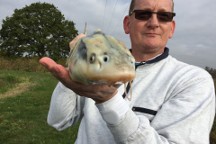 Stoerfischen_2016_02