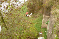 Umweltag_Wasser_20121117_06