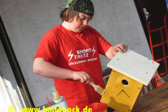 Vogelhäuser die Zweite