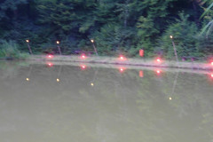 Weiher_in_Flammen_2011_10