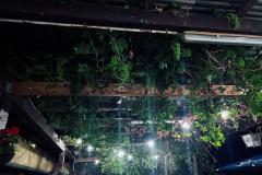 ASV_Weiherfest_2025_10